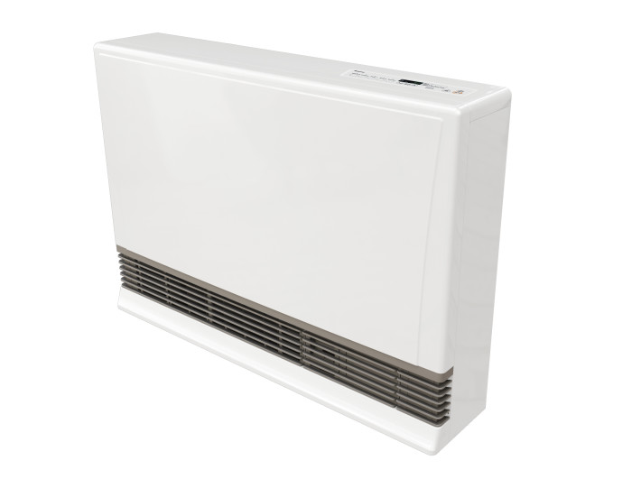 EX22DTWN 8,200-21,500 BTU NG  RINNAI DV WALL HEATER WHITE