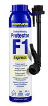 F62436 F1 PROTECTOR EXPRESS CAN 256ML F59900