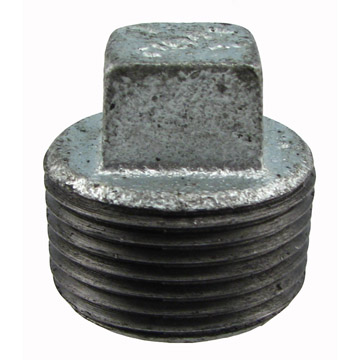 2 1/2&quot; PLUG GALV SCH40